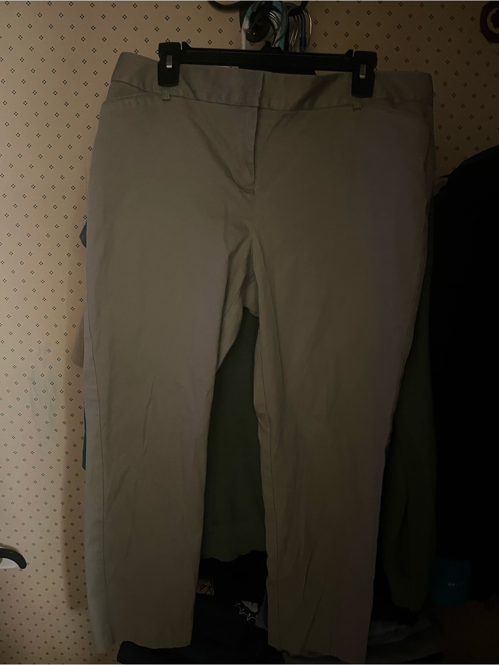 Van Heusen Light Taupe Dress Pants